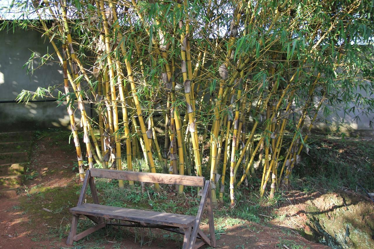 Banda Lodge Masaka Zewnętrze zdjęcie